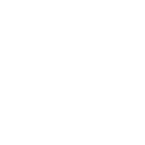 Sonora Lending logo white
